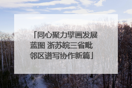 同心聚力擘画发展蓝图 浙苏皖三省毗邻区谱写协作新篇