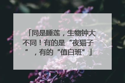 同是睡莲，生物钟大不同！有的是“夜猫子”，有的“值白班”