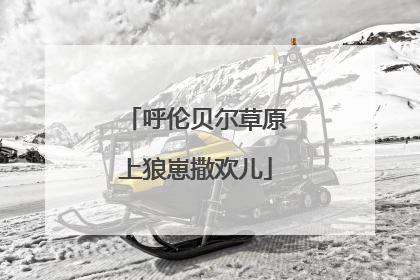 呼伦贝尔草原上狼崽撒欢儿