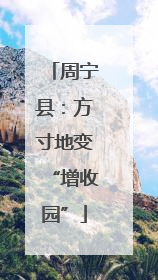 周宁县：方寸地变“增收园”