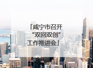 咸宁市召开“双回双创”工作推进会