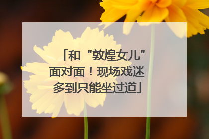 和“敦煌女儿”面对面！现场戏迷多到只能坐过道