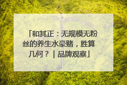 和其正：无规模无粉丝的养生水豪赌，胜算几何？｜品牌观察