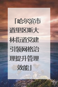 哈尔滨市道里区斯大林街道党建引领网格治理提升管理效能