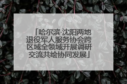 哈尔滨·沈阳两地退役军人服务协会跨区域全领域开展调研交流共绘协同发展