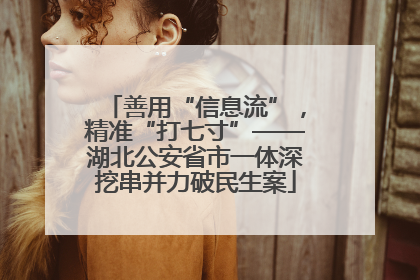 善用“信息流”，精准“打七寸”——湖北公安省市一体深挖串并力破民生案