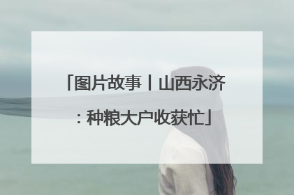 图片故事丨山西永济：种粮大户收获忙
