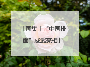 图集︱“中国排面”威武亮相