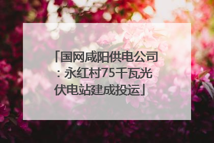 国网咸阳供电公司：永红村75千瓦光伏电站建成投运