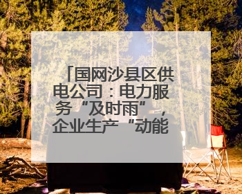 国网沙县区供电公司：电力服务“及时雨”，企业生产“动能强”