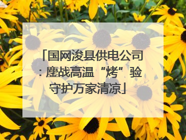 国网浚县供电公司：鏖战高温“烤”验 守护万家清凉