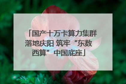 国产十万卡算力集群落地庆阳 筑牢“东数西算”中国底座
