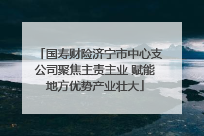 国寿财险济宁市中心支公司聚焦主责主业 赋能地方优势产业壮大
