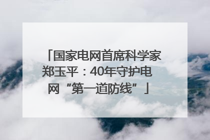 国家电网首席科学家郑玉平：40年守护电网“第一道防线”