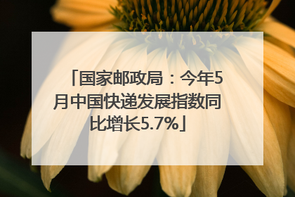国家邮政局：今年5月中国快递发展指数同比增长5.7%