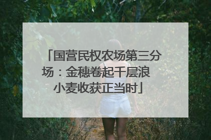 国营民权农场第三分场：金穗卷起千层浪 小麦收获正当时