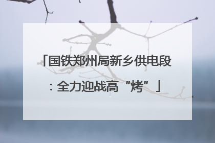 国铁郑州局新乡供电段：全力迎战高“烤”