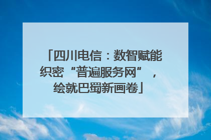 四川电信：数智赋能织密“普遍服务网”，绘就巴蜀新画卷