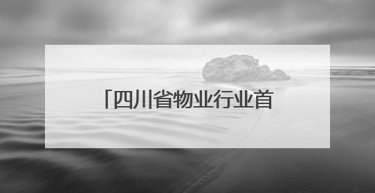 四川省物业行业首次组团参加中国物博会 四川馆八个主题展区展现发展成果