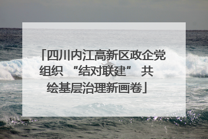四川内江高新区政企党组织 “结对联建” 共绘基层治理新画卷
