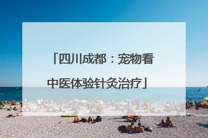 四川成都：宠物看中医体验针灸治疗