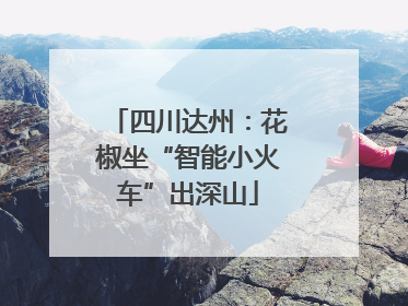 四川达州：花椒坐“智能小火车”出深山