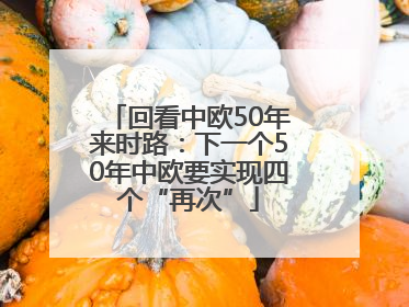 回看中欧50年来时路：下一个50年中欧要实现四个“再次”