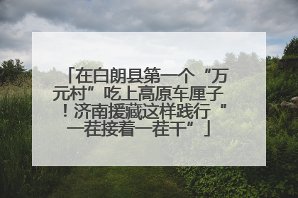 在白朗县第一个“万元村”吃上高原车厘子！济南援藏这样践行“一茬接着一茬干”