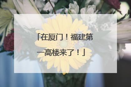 在厦门！福建第一高楼来了！