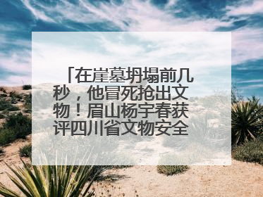 在崖墓坍塌前几秒，他冒死抢出文物！眉山杨宇春获评四川省文物安全守护者
