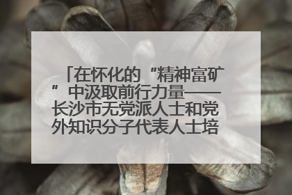 在怀化的“精神富矿”中汲取前行力量——长沙市无党派人士和党外知识分子代表人士培训班在怀化圆满举办
