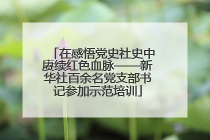 在感悟党史社史中赓续红色血脉——新华社百余名党支部书记参加示范培训