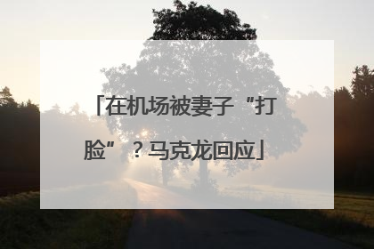 在机场被妻子“打脸”？马克龙回应