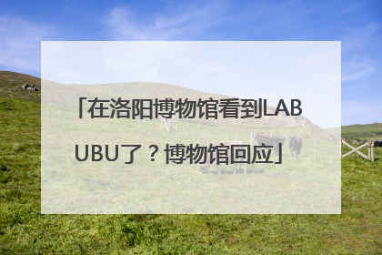 在洛阳博物馆看到LABUBU了？博物馆回应