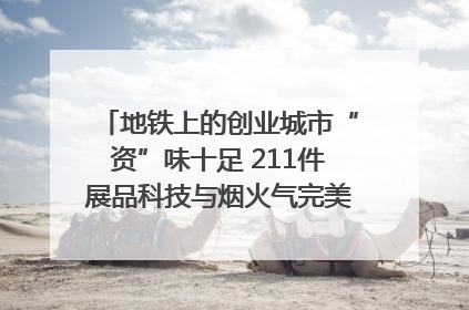 地铁上的创业城市“资”味十足 211件展品科技与烟火气完美融合｜西博视界