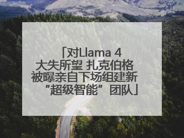 对Llama 4大失所望 扎克伯格被曝亲自下场组建新“超级智能”团队