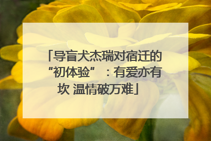 导盲犬杰瑞对宿迁的“初体验”：有爱亦有坎 温情破万难
