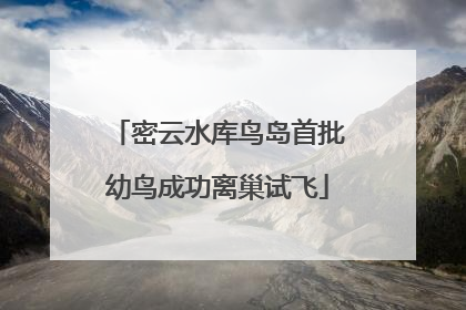 密云水库鸟岛首批幼鸟成功离巢试飞
