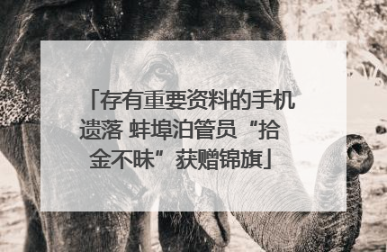 存有重要资料的手机遗落 蚌埠泊管员“拾金不昧”获赠锦旗