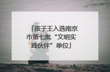 孩子王入选南京市第七批“文明实践伙伴”单位