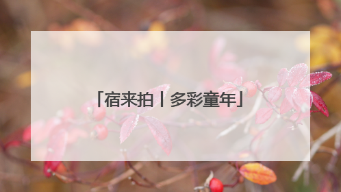 宿来拍丨多彩童年