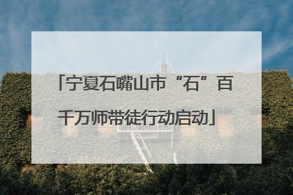 宁夏石嘴山市“石”百千万师带徒行动启动