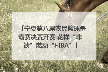 宁夏第八届农民篮球争霸赛决赛开赛 花样“非遗”燃动“村BA”