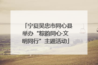 宁夏吴忠市同心县举办“粽韵同心·文明同行”主题活动