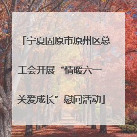 宁夏固原市原州区总工会开展“情暖六一 关爱成长”慰问活动