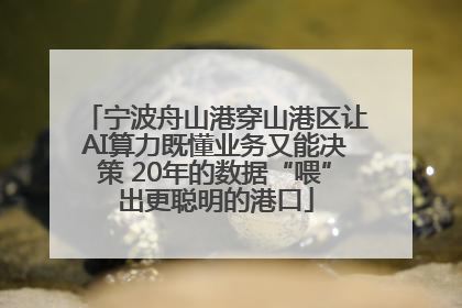 宁波舟山港穿山港区让AI算力既懂业务又能决策 20年的数据“喂”出更聪明的港口
