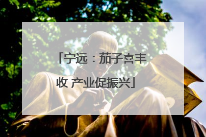 宁远：茄子喜丰收 产业促振兴