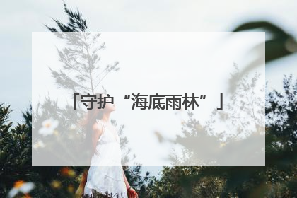 守护“海底雨林”