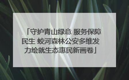 守护青山绿意 服务保障民生 蛟河森林公安多维发力绘就生态惠民新画卷