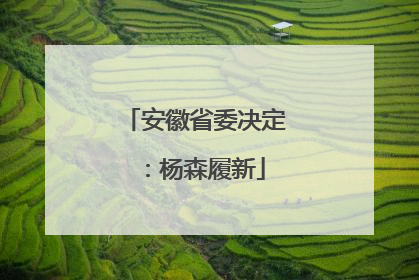 安徽省委决定：杨森履新